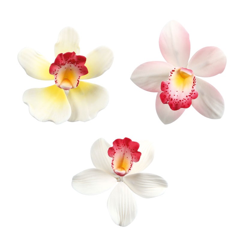 kvet-orchidea-6cm